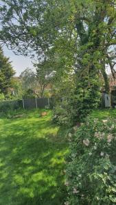 a green yard with a tree in the middle of it at Wigston house in Wigston Magna