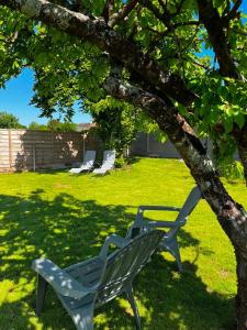two white chairs sitting under a tree in a yard at La p'tite maison in Courgains