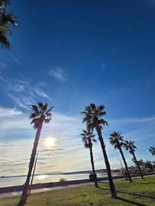a group of palm trees on the beach at La Parenthèse, studio in Gruissan