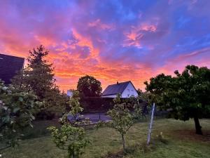 a sunset in a yard with a house and trees at Appartement comme une Maison in Ingersheim