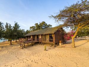 a small house on a beach with a tree at Lodge Océan et Savane in Saint-Louis