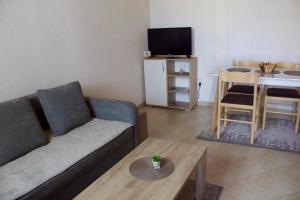 a living room with a couch and a table at Holiday Home Apartman Aco in Žabljak