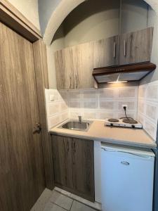 a small kitchen with a sink and a refrigerator at Amelies Apartments in Paralia Katerinis