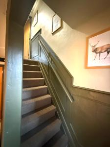 a staircase in a building with a picture of a deer on the wall at Rustic Retreat cottage in Thirsk +7 photos