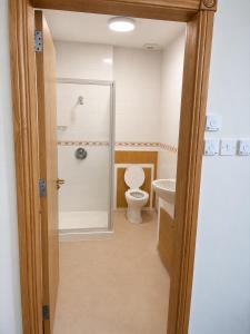 a bathroom with a shower and a toilet and a sink at Blue Water House in Bundoran +14 photos