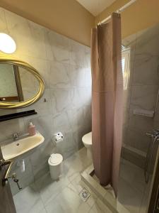 a bathroom with a shower and a sink and a toilet at Amelies Apartments in Paralia Katerinis +16 photos
