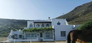 a horse standing in front of a white house at ECO Balcony to the Aegean in Stení