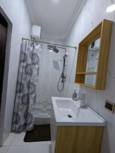 a bathroom with a sink and a shower at WAB STAR Lodge in Kumasi +18 photos