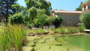 a garden with a pond with grass and a building at Hôtel Bellier in La Chapelle-en-Vercors