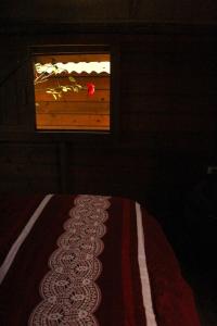 a bedroom with a bed and a window at Valhalla Glamping House in Bombinhas