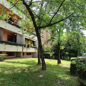 a tree in the grass in front of a building at Appartamento Velocipede in Cervignano del Friuli