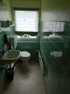 a green bathroom with a toilet and a sink at Ferienwohnung Jahnke in Burkardroth +21 photos