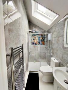 a bathroom with a shower and a toilet and a sink at New Studio Near Science Park Cambridge in Cambridge +6 photos