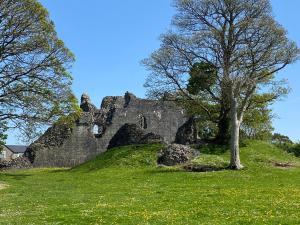 an old castle on a grassy hill with a tree at Castle cottage in Cowbridge