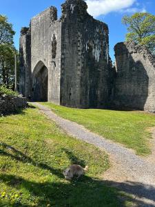 a dog standing in the grass in front of a castle at Castle cottage in Cowbridge +12 photos