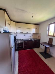 a kitchen with a refrigerator and a red rug at Hasan Nika's Tower in Karicë