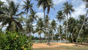 a group of palm trees on a beach at Hôtel Lucia Grand Lahou in Grand-Lahou