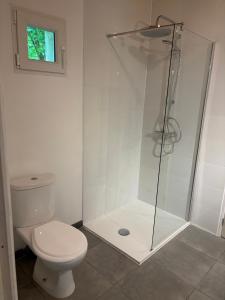 a bathroom with a toilet and a glass shower at La Petite Ferme des Etoiles in Mauroux +11 photos