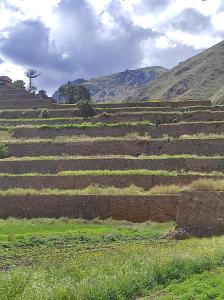 a large terraced field with mountains in the background at Casa Unupaccha in Calca
