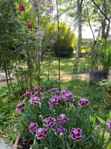 a garden with pink flowers in the grass at Chambre chez l'habitant dans grande maison Arborée in Orly