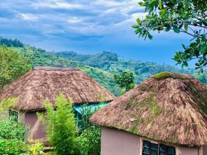 two huts with thatched roofs with mountains in the background at Bwindi Coffee Lodge in Kachulagenyi