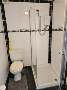 a bathroom with a toilet and a shower at Quiet Room with ensuite in Chippenham