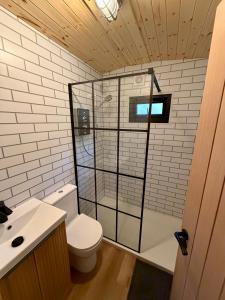 a bathroom with a toilet and a glass shower at Lake District Woodland Cabin - Close to Ambleside & Langdale Valley in Ambleside