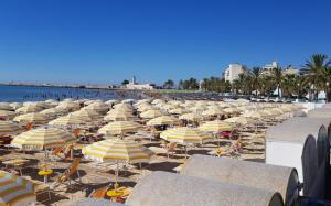 a bunch of yellow and white umbrellas on a beach at Domus Elegans in Centro in Manfredonia