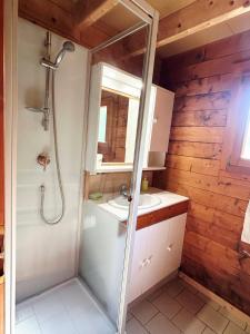 a bathroom with a shower and a sink at La Roche du Moulin in Saint-Moré