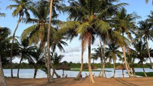 a beach with palm trees and a body of water at Hôtel Lucia Grand Lahou in Grand-Lahou