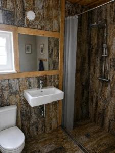 a bathroom with a sink and a shower and a toilet at Kregžlės kaimas in Skirlėnai