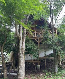 a tree house in the middle of some trees at Lodge Kurokawa 1 in Minamioguni