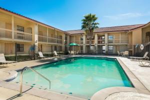 una piscina en un hotel con sillas y una palmera en Motel 6-Monroe, LA, en Monroe