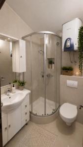 a bathroom with a shower and a toilet and a sink at Apartmani Kuic in Milna