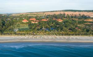 an aerial view of a beach with a flock of birds at Pandanus Resort in Mui Ne