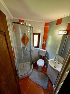 ein Badezimmer mit Dusche, Toilette und Waschbecken in der Unterkunft Vila ILKA in Praid + 8 Fotos