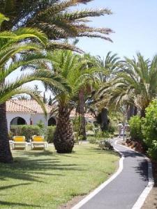 a street with palm trees and a path with benches at Sun Club Bungalows in Playa del Ingles