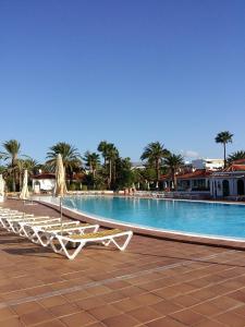 a row of lounge chairs next to a swimming pool at Sun Club Bungalows in Playa del Ingles