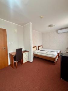 a bedroom with a bed and a desk and a chair at Hotel 21 in Bratislava