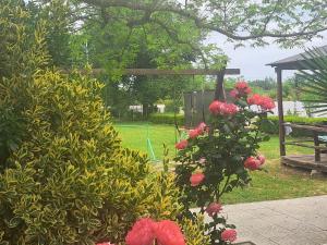 a bush with pink flowers next to a bench at Apartmani Moco in Ulcinj