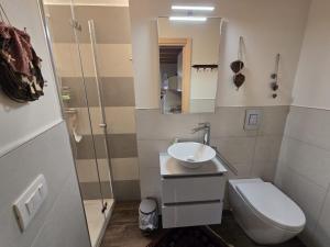 a small bathroom with a sink and a toilet at Alpine Heaven in Borca di Cadore +33 photos