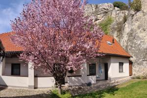 a house with a flowering tree in front of it at Várvölgy Vendégház - teljes ház, kizárólagos használattal in Veszprém