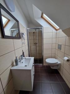 a bathroom with a sink and a toilet and a mirror at Apartmány Obora in Nová Bystřice +75 photos