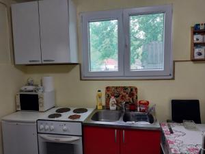 a kitchen with a sink and a stove and a microwave at Seoski raj in Podgorica