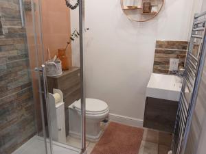 a bathroom with a toilet and a sink at Bottisham Cosy Double in Bottisham