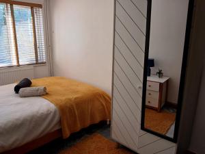 a bedroom with a bed and a mirror and a window at Bottisham Cosy Double in Bottisham