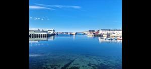 a view of a body of water with houses and boats at T&T Vardø in Vardø