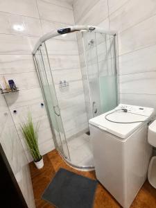 a bathroom with a shower and a white toilet at IDEAL in Płock