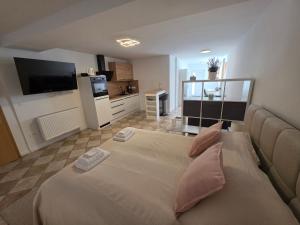 a bedroom with a large bed with a television at Cosy Studio CatHouse in Radovljica