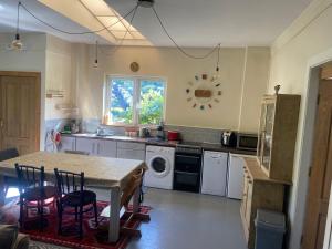 a kitchen with a table and a sink and a dishwasher at The Blue Lodge in Galway